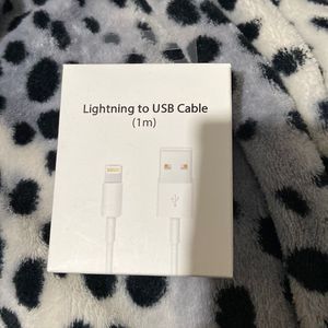 Apple I phone charger